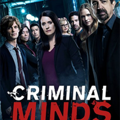 Criminal_Minds 13